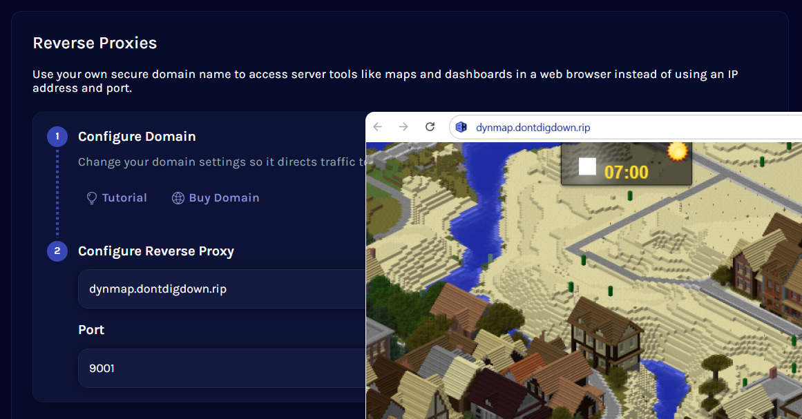 Reverse Proxy Editor